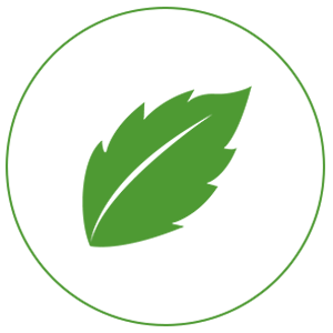 ALIVA Leaf in a green circle